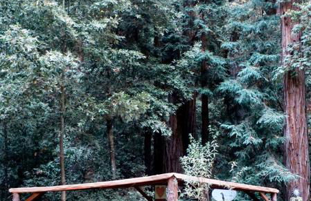 Private Glamping Getaway in the Redwoods near Santa Cruz, California - Foto 33