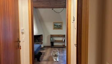 al Profilo di Napoleone - Foto 5