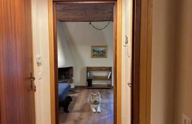 al Profilo di Napoleone - Photo 5