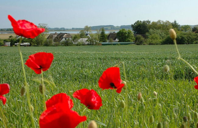 Holiday Apartment Dune House - Foto 26