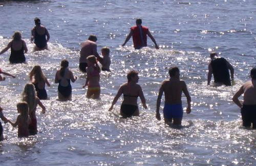 Landhaus op de Warft - Foto 40