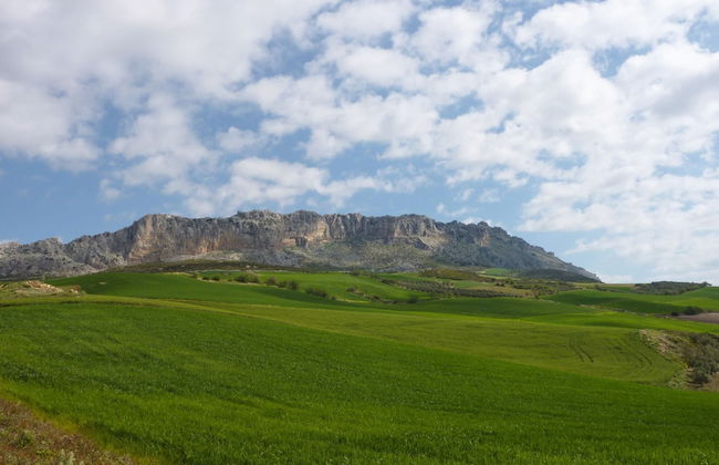 Leisure Meets Tranquility in Beautiful Villa Near Forest - Foto 28