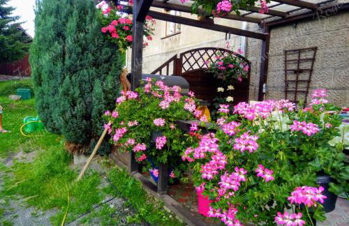 Ferienwohnung Rogowski - Foto 47