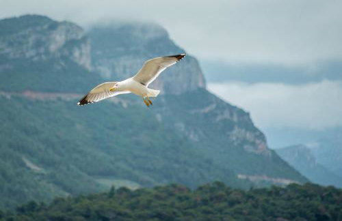 Apartment Matijas - Foto 15