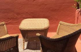 Estrelicia - Photo 24