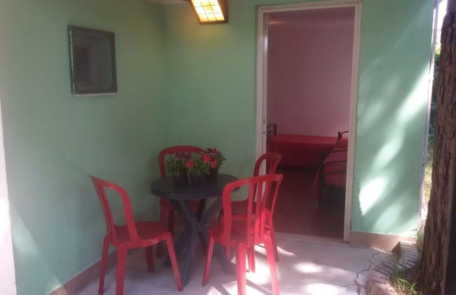 Parco delle Viole - Foto 18