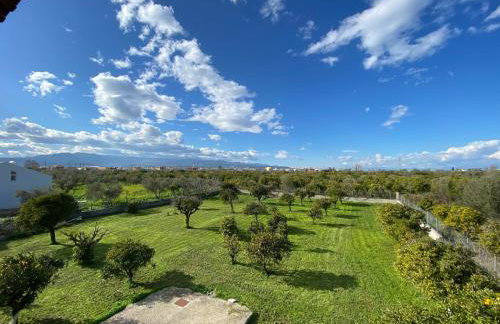 Into the green - Foto 16