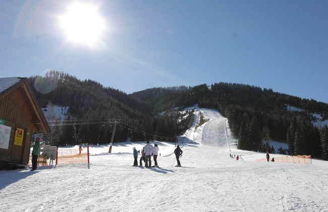 Chalet in Hohentauern Near Ski Lift - Foto 31