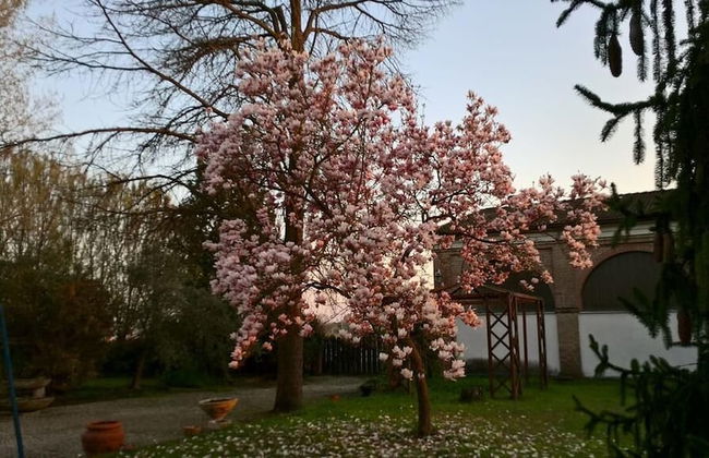 Agriturismo Cipolli e Podò Corte Carlini - Foto 1