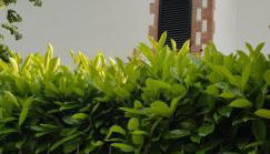 La Casa di Gigliola - Foto 5