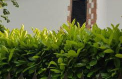 La Casa di Gigliola - Foto 5