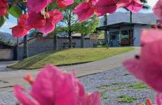 Village Sana Apart Hotel - Photo 45