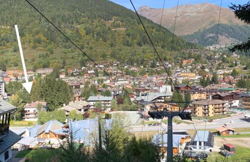 Blue Mountain - Foto 22