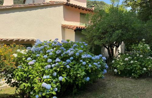 Les Cèdres - Foto 48