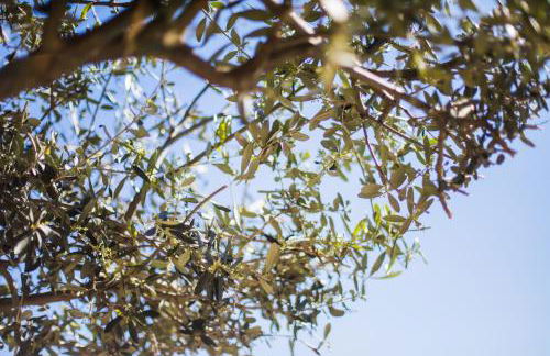 CORNICHE D'ARGENT - Nice - Foto 38