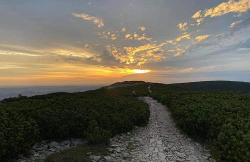 Sudecka Ostoja z Balią i Sauną - Foto 45