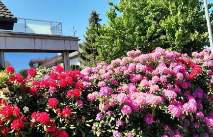 Ferienwohnung Bauchert - Foto 9