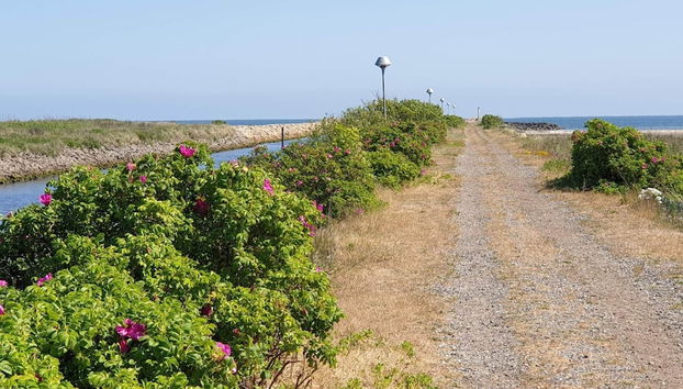 Seaside Serenity in Lyngsay-by Traum - Foto 4, Miscelánea