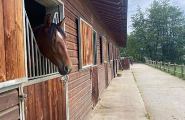 Xalet Montana - Foto 34