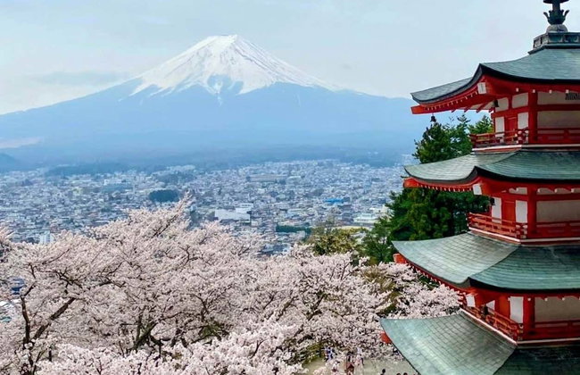 Mount Fuji, Lake Kawaguchi + Chureito Pagoda Day Trip - Foto 2