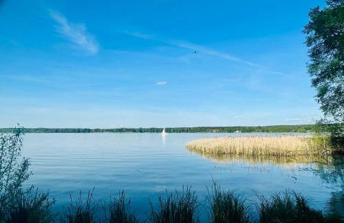 Ferienhaus Am Silberberg, Bad Saarow - Foto 31