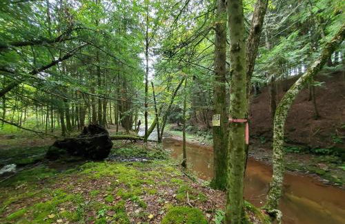 Pleasant Brook Cottage - Foto 40