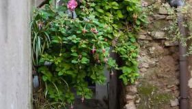 B&b Sotto l'arco - Foto 2