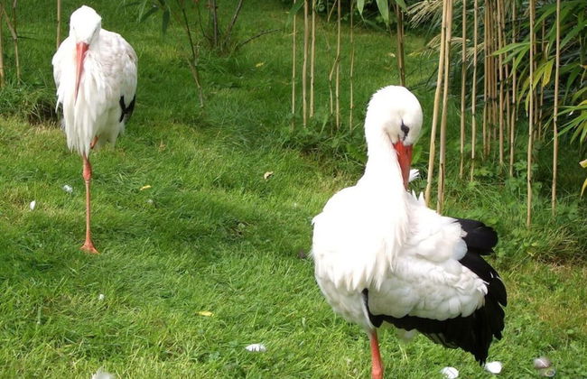 Seehund Comfortable Holiday Residence - Foto 14