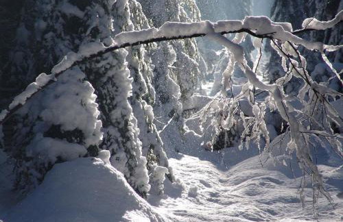 Ferienwohnung Waldstraße - Foto 52