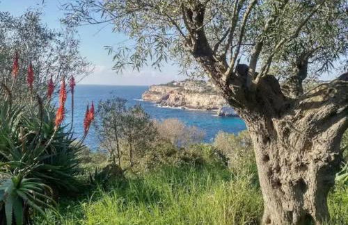 Descubre el paraíso en la Villa Grand Bleu Playa a 500 metros Opción Piscina climatizada a 30º - Foto 48