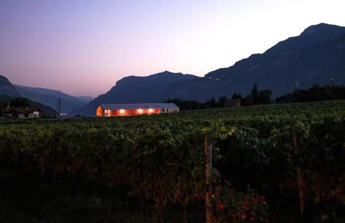 8 Grappoli Agritur - Foto 19