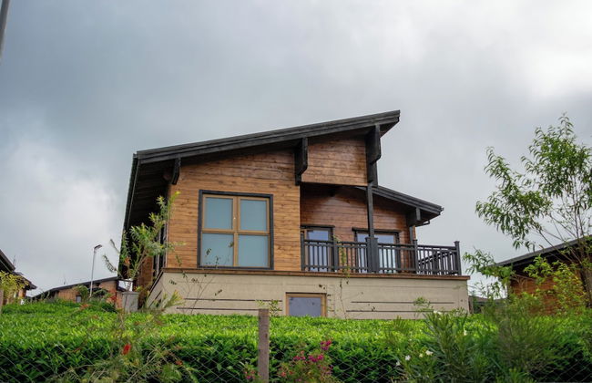 Ridge Cabin Resort - Foto 18