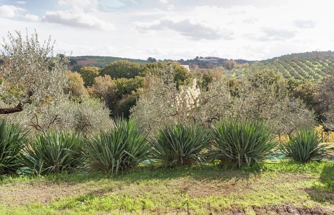 Apartment in Umbria Near Montefalco Winery - Foto 20