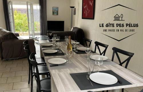 Le gîte des pélus - Photo 11