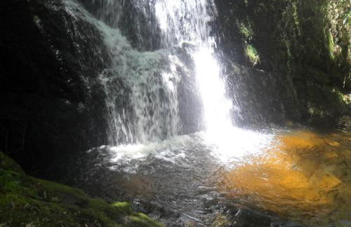 A Morada do Muriqui - Foto 1