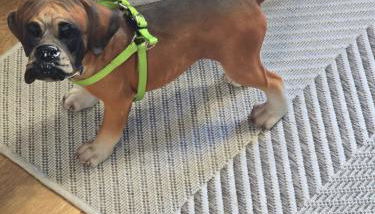 Apartamento Mirador del Pantano2 - Foto 2