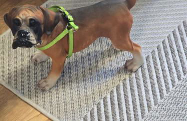 Apartamento Mirador del Pantano2 - Foto 2