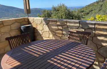 L'Olivella - Foto 18