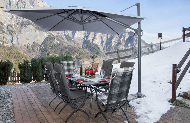 Ecureuil noir - Foto 34