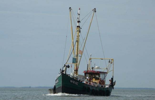 Nice Villa in Wieringer Style near Wadden Sea - Foto 32
