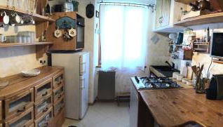 Anemone rosso - Foto 4