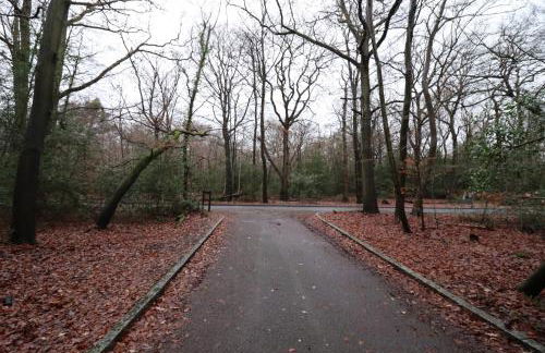 Forest Getaway - Foto 33