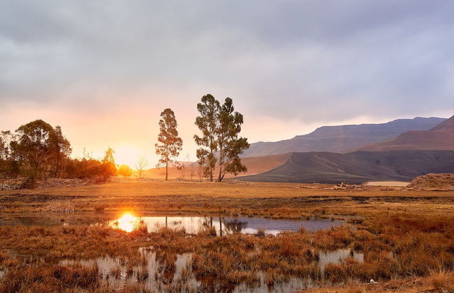 Bergview Farm Cottages by First Private Stays - Photo 21