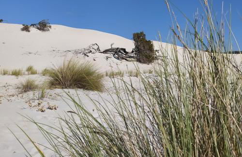 Appartamento Maria's House - Foto 52