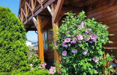 Domki Fala Family - Foto 9