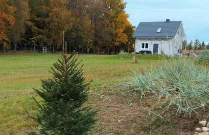 DoWielina - domki wśród natury - Foto 49