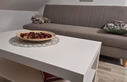 Apartman Kovačić - Foto 21