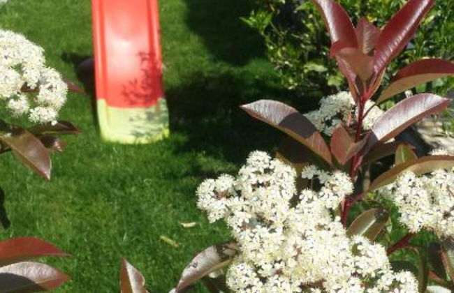 Villa Marica - Foto 26