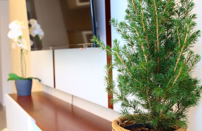 ZAPBED House - YWE B7 801 - Photo 55