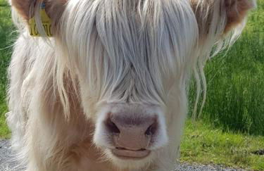 Glenfalloch Beag Apartment, Torvaig - Foto 31